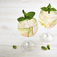 Gin Masterclass at Revolution Cavern Quarter