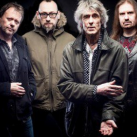Martin Turner ex Wishbone Ash - Wishbone Gold