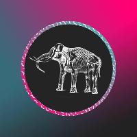 Elephant Sessions at The Lemon Tree