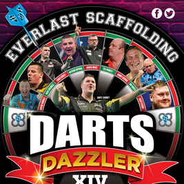 Everlast scaffolding darts dazzler 14