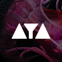 AYA Opening Party - Super Flu, WhoMadeWho, Tim Engelhardt (Live) at The Steelyard