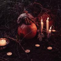 Nightmares And Nibbles