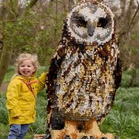Giant LEGO Brick Animal Trail