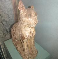 Animal Mummies – Live Science