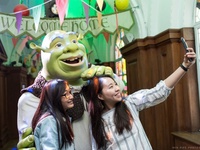 Shrek's Adventure! London  3 Way Multi Attractions Passes at Shrek's Adventure London 