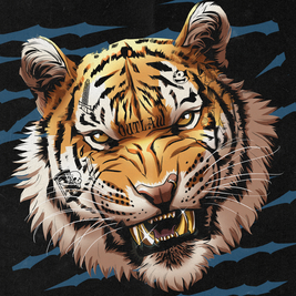 NYE W/ Jungle Cakes, Ed Solo, Deekline , Kleu, Jam Thieves