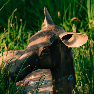 Bar open!! 12pm - 4pm