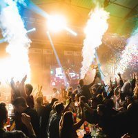 Bingo Lingo - 10th Birthday Special at Patti Pavilion Swansea