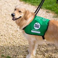 Paws in the Park at Sherdley Park