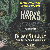 Odd Gnome Presents HARKS at The Salty Dog