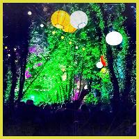 Word of Mouth | The Fabulous Forest