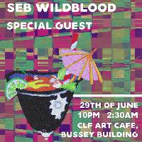 Treehouse Summer Boogie w/ Seb Wildblood