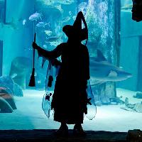 Brave the mysteries of the deep this Halloween at the Ascarium