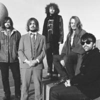 The Travelling Band Plus Support