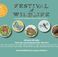 Festival of Wildlife