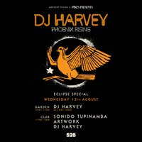 Pikes Presents at 528: Eclipse Edition at 528 Ibiza