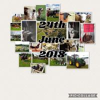 Bury Show