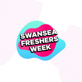 Official Swansea Freshers Week Wristband