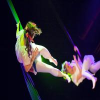 Mary Bijou present: Bring on the Night!
