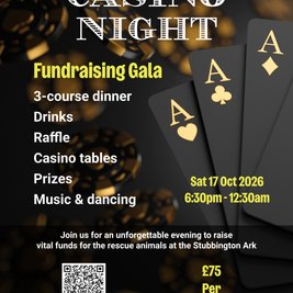 Stubbington Ark Gala Dinner Casino Night
