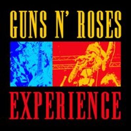 Guns n