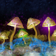 The Science of Psychedelics with Dr. David Luke Event Title Pic