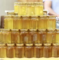 Urban bee and honey showcase