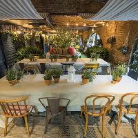 Zizzi Summer Oasis