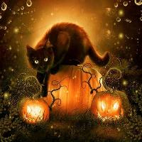spooktacular disco