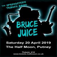 Bruce juice: bruce springsteen tribute live