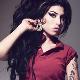 The Story of Amy Winehouse - LIVE Tribute Event Title Pic