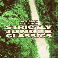 Strictly Jungle Classics w/ BRYAN GEE (V Recordings 90 Min Set)