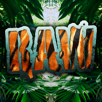 RAW: Bassline Safari FREE PARTY (UKG / Jungle / DnB / Bassline at Deadwax Digbeth