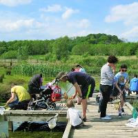 Pond Dipping