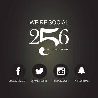 We Can Disco x 256