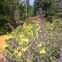 Workshop: Plant Propagation at Shuttleworth