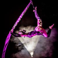 Christmas Circus Spectacular at Groombridge Place Groombridge Hill Groombridge Tunbrid