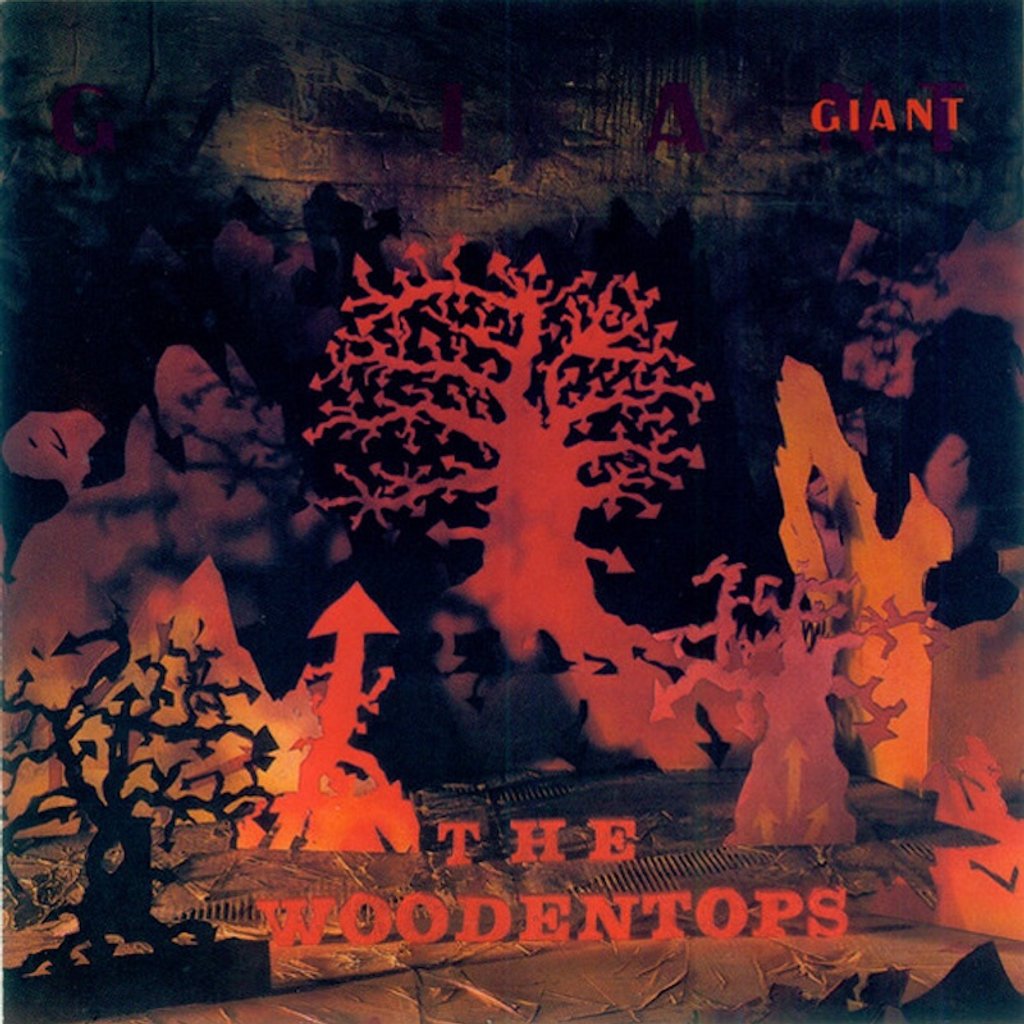 The Woodentops Image