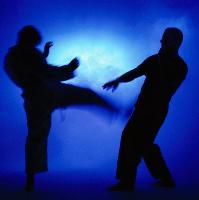 Martial arts seminar