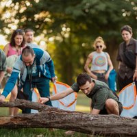 Summer Bug Walk