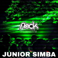Flock Presents: Junior Simba + Alex Fuller + Ledger at Record Junkee