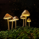 The Science of Magic Mushrooms with Dr. Chris Timmermann Event Title Pic