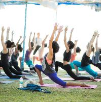 Sheffield Yoga and Vegan Festival