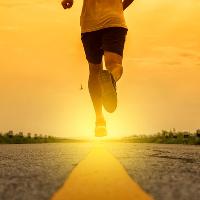 Café Science Dundee: Health Promotion: Road to Rehabilitation
