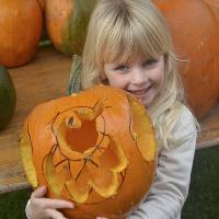 Hartlebury Halloween at Hartlebury Castle