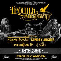 Tequila Mockingbyrd and more