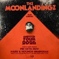 The Moonlandingz