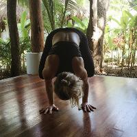 Arm Balancing Yoga Workshop