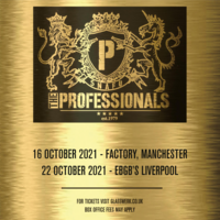The Professionals at FAC 251 The Factory