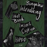 Introducing: Idiot Band, Insert Caption and HIPPO at The Bungalow Bar